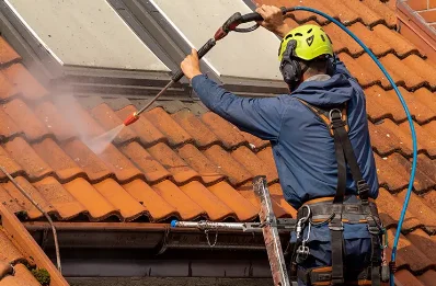 Démoussage et hydrofuge de toiture à Belvoir